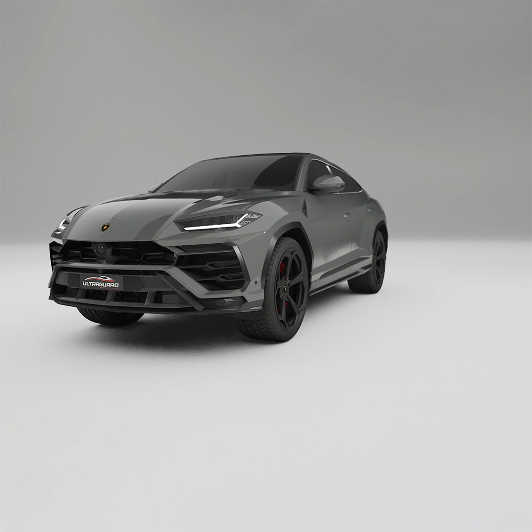 Porsche Sports Grey  ppf