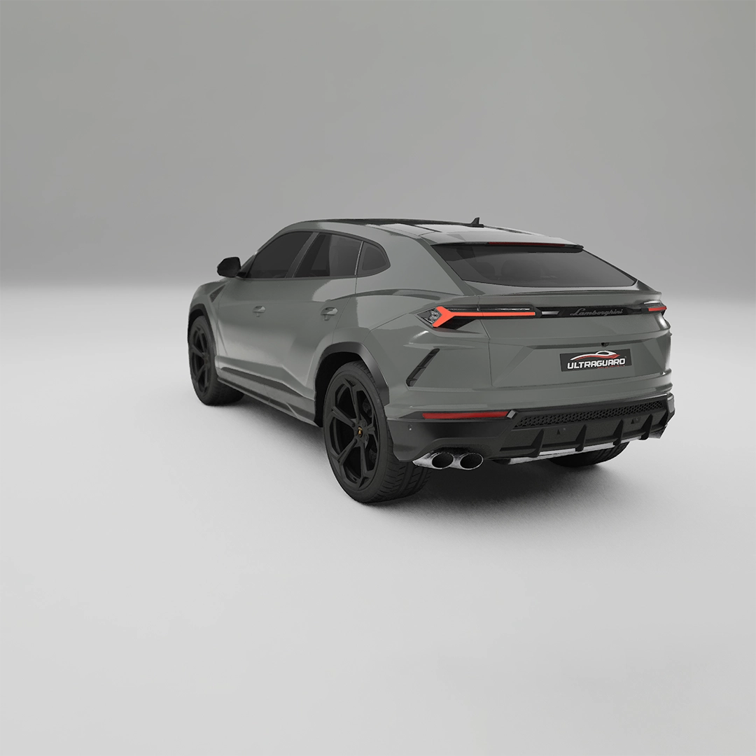 Porsche Sports Grey  ppf
