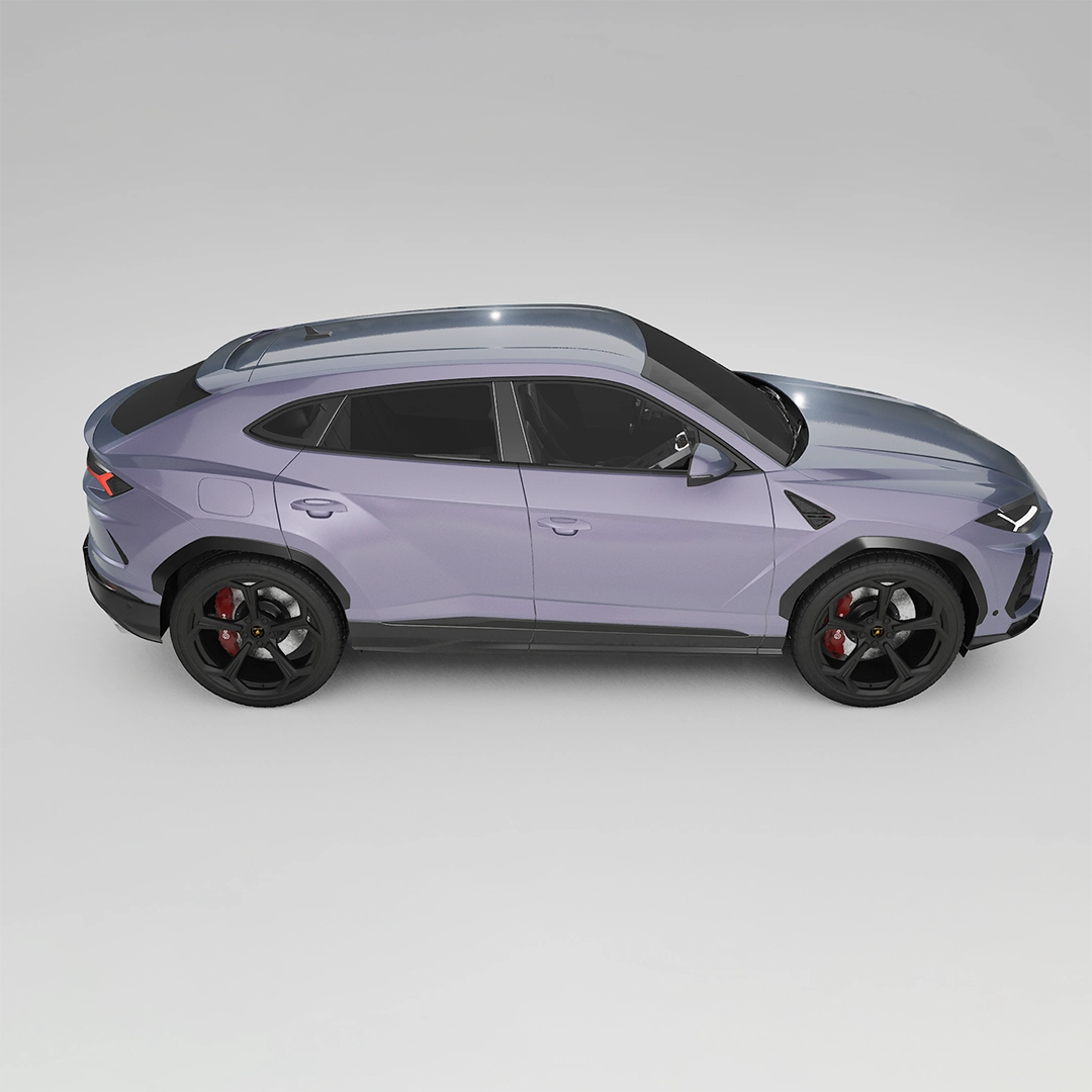 Silver Purple PPF