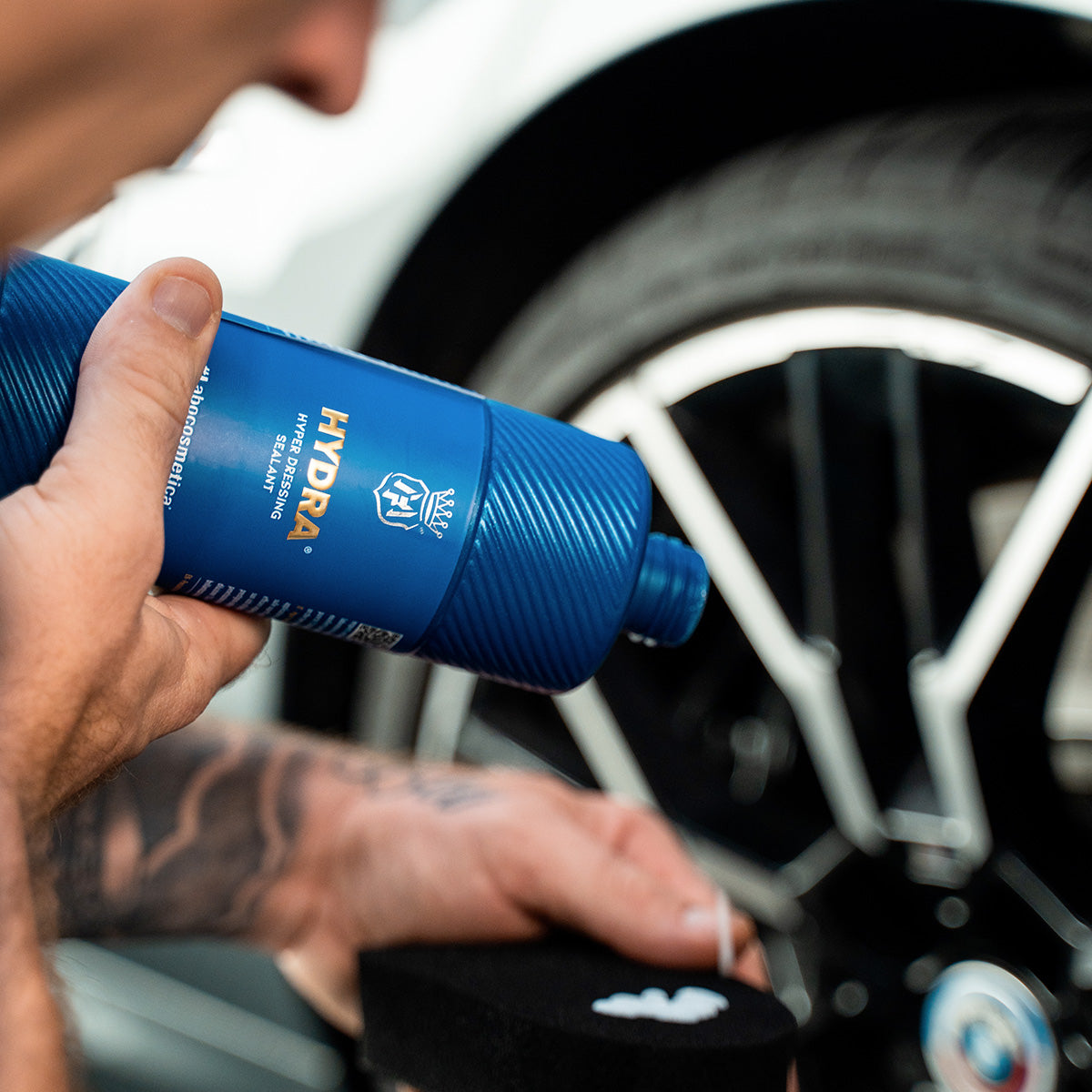 مختبر-هيدرا